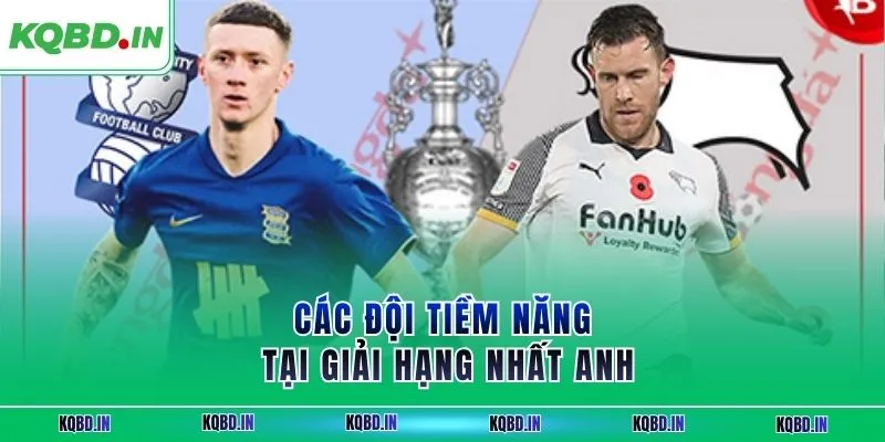 Hạng Nhất Anh 16 Các đội tiềm năng tại giải hạng nhất Anh