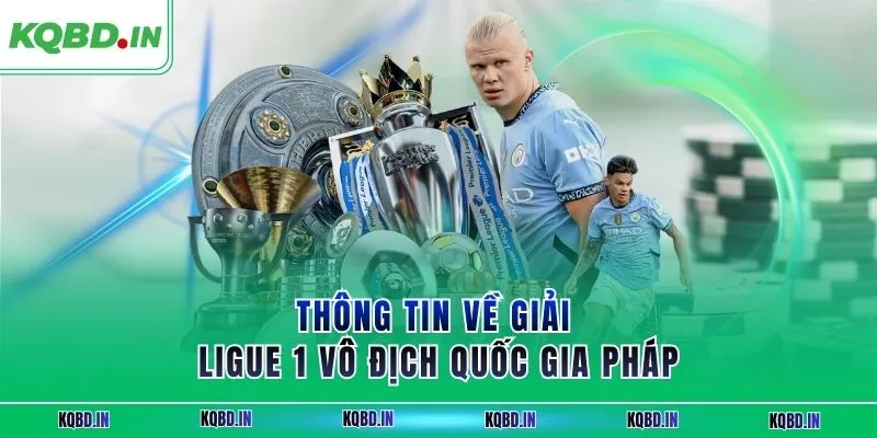 Ligue 1 13 Thông tin về giải Ligue 1 vô địch quốc gia Pháp