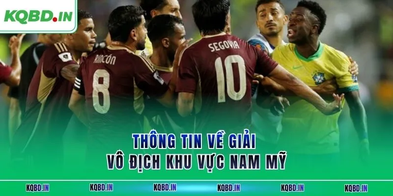 Vô Địch Nam Mỹ 13 Thông tin về giải vô địch khu vực Nam Mỹ